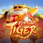 fortune-tiger